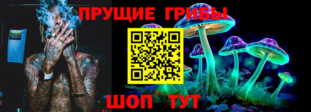 Галлюциногенные грибы GOLDEN TEACHER Мурино