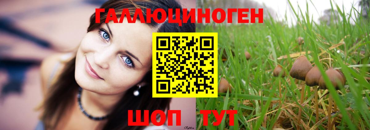 Мурино  Галлюциногенные грибы GOLDEN TEACHER  Вход с VPN 